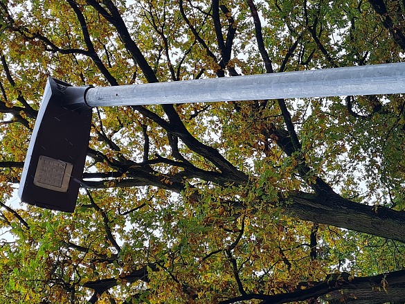 LED-Leuchte im Bremer Stadtbild