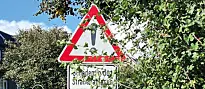 Äste von einem Baum, der auf einem Privatgrundstück steht, verdecken ein Verkehrszeichen.