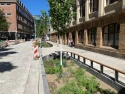 Ein neues Tiefbeet, umsäumt von Straßenmöblierung in der Dechanatstraße.