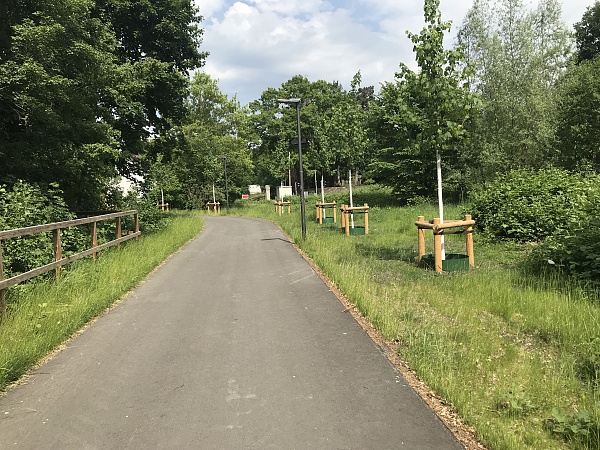 Neupflanzungen am Busbahnhof Blumenthal